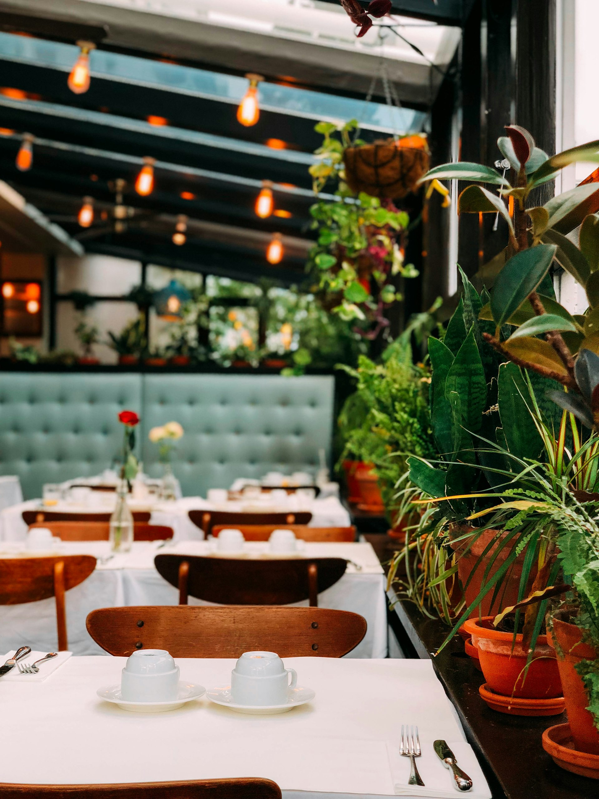 Vorschau der Osteria Sole Website
